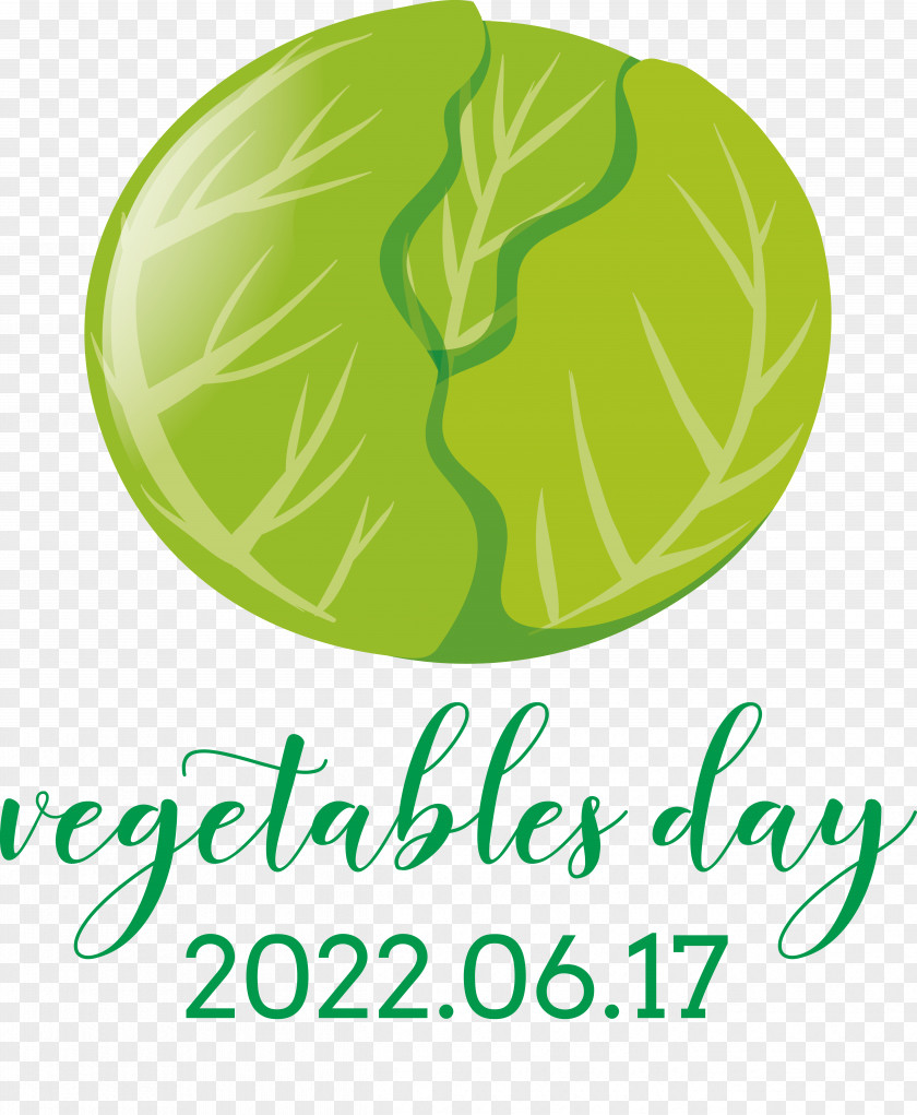 Leaf Leaf Vegetable Vegetable Logo Line PNG