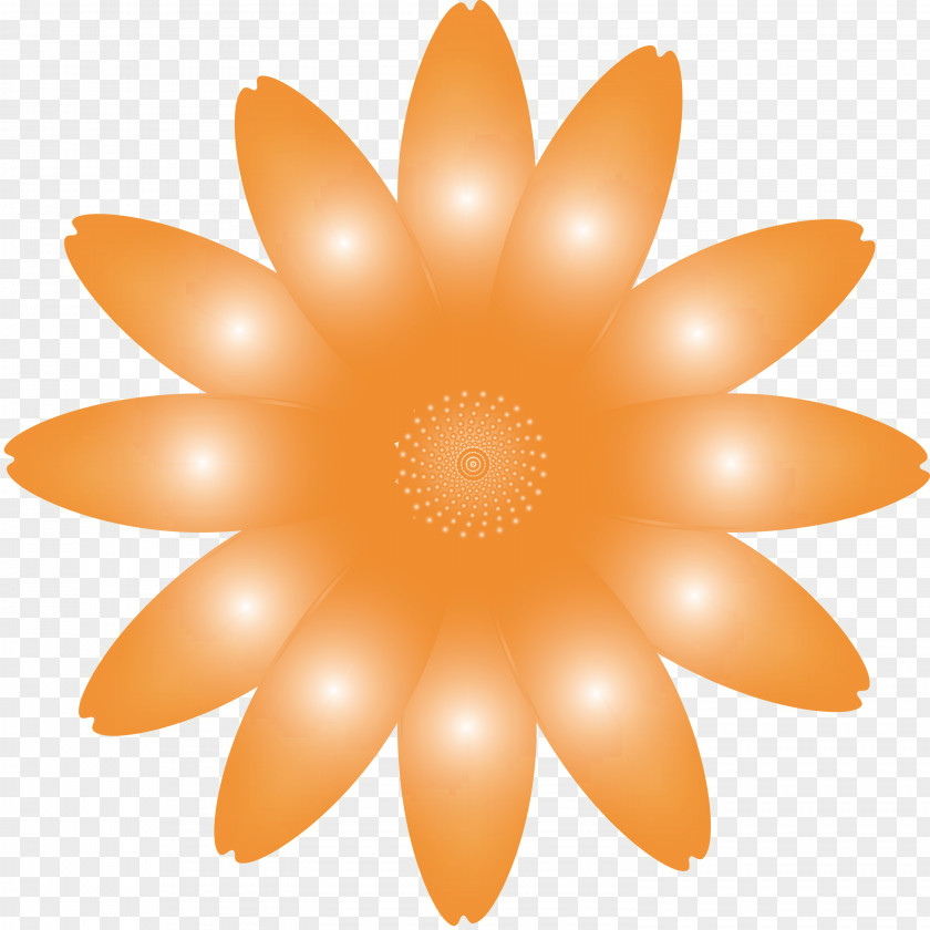 Marguerite Flower Spring PNG