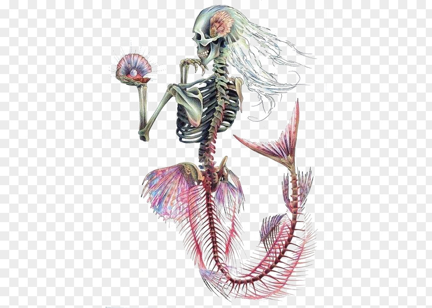 Mermaid Ariel Human Skeleton Skull PNG