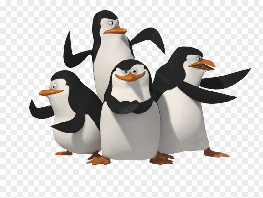 Penguin Skipper Madagascar Clip Art PNG