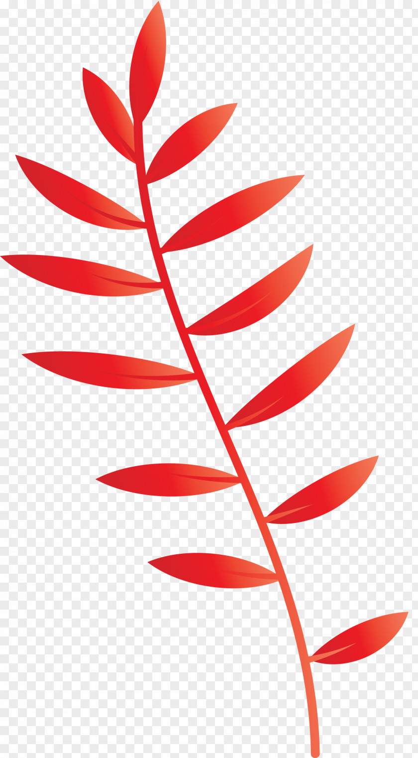 Plant Stem Petal Leaf Line Plants PNG