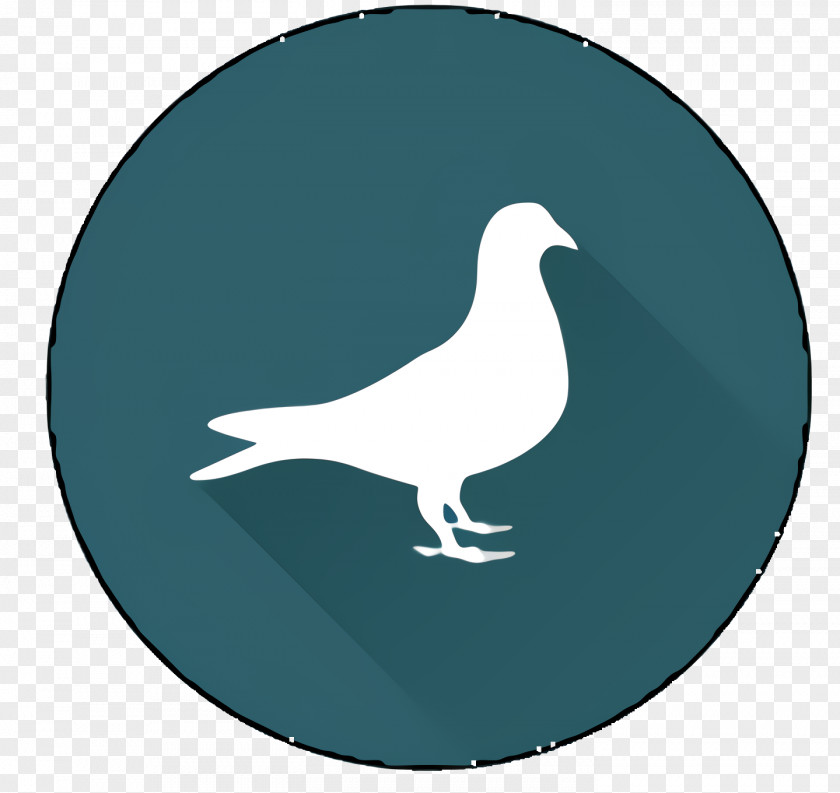 Seabird Aqua Dog And Cat PNG