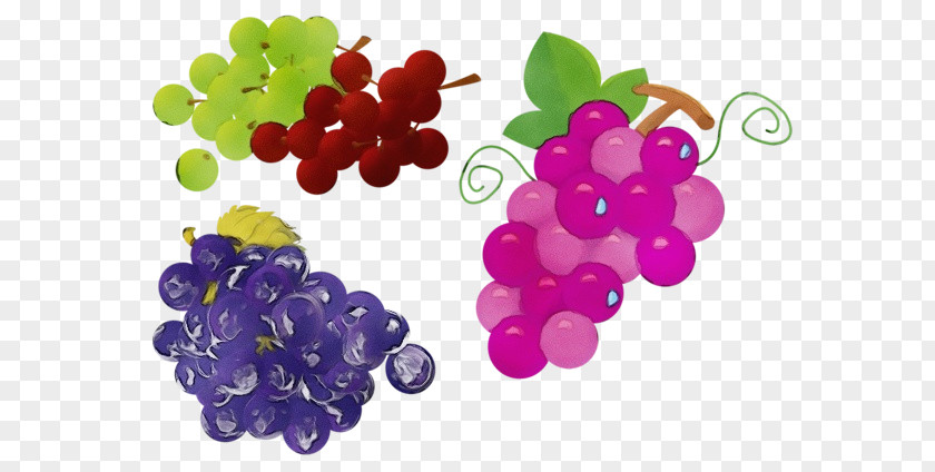 Superfruit Superfood Grape Seedless Fruit Grapevine Family Food PNG