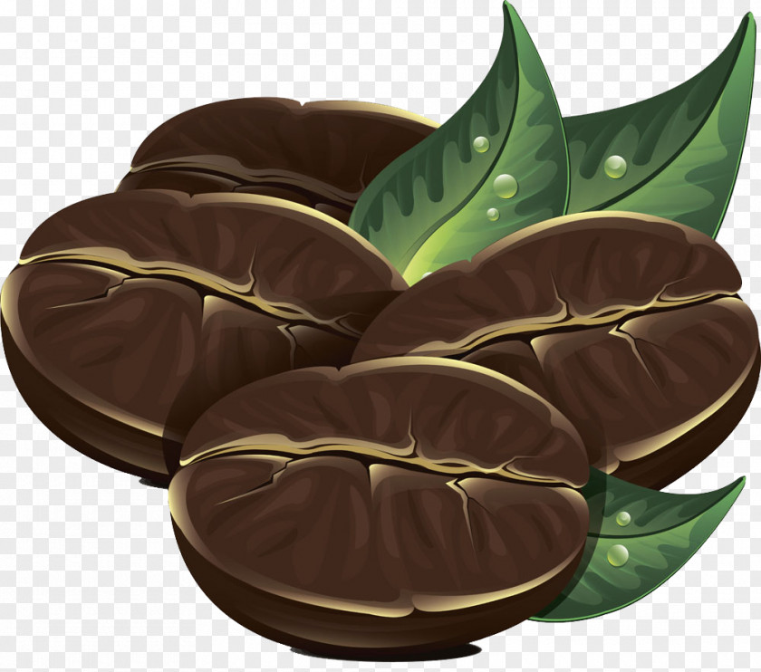 Coffee Beans And Green Leaf Illustration Picture The Bean & Tea Cafe PNG