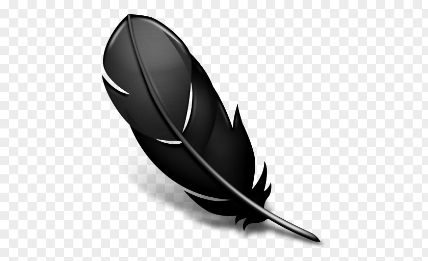 Drawing Feather PNG