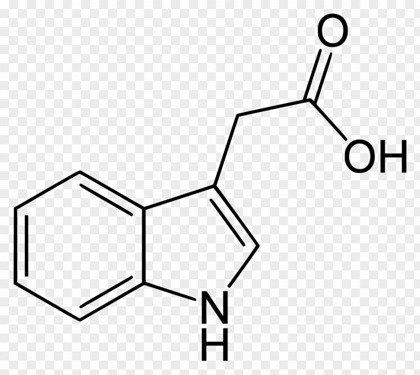 Plant Indole-3-acetic Acid Indole-3-butyric Auxin PNG