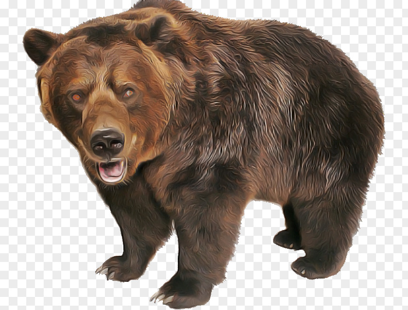 Brown Bear Grizzly Kodiak Animal Figure PNG