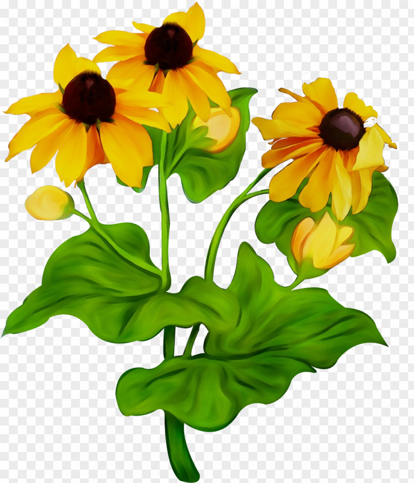 Cut Flowers Petal Sunflower PNG