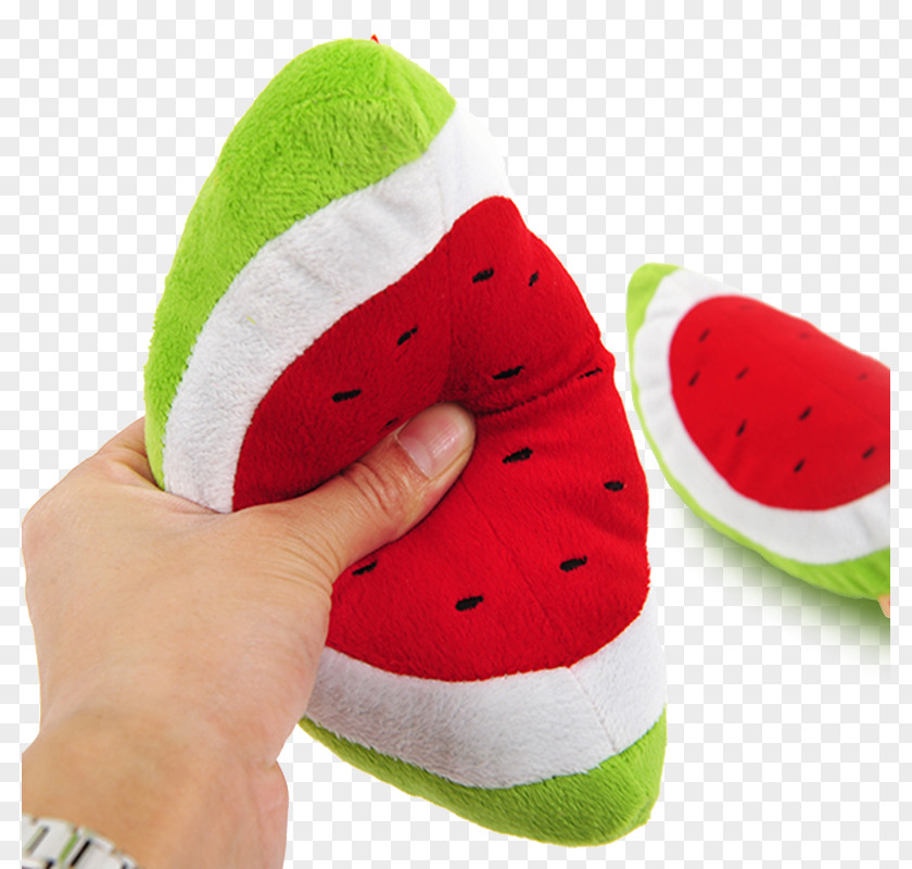 Dog Toys Watermelon Shoe Footwear PNG