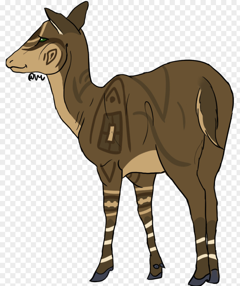 Giraffe Cattle Horse Okapi Mammal PNG