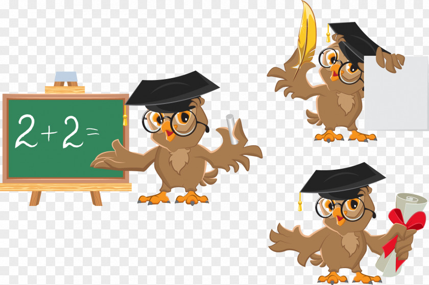 Cartoon Owl Teacher Mathematics Clip Art PNG