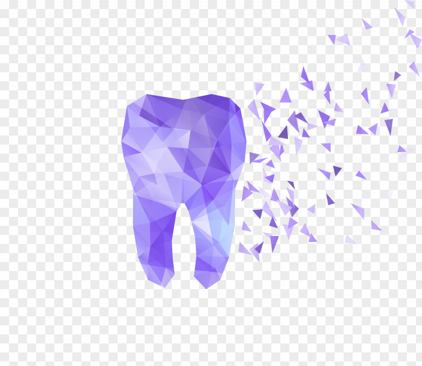 Colorful Abstract Perspective Tooth Fragments Human Dentistry Illustration PNG