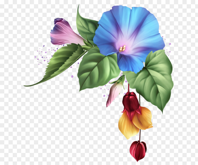 Flower Floral Design Clip Art Drawing Painting PNG