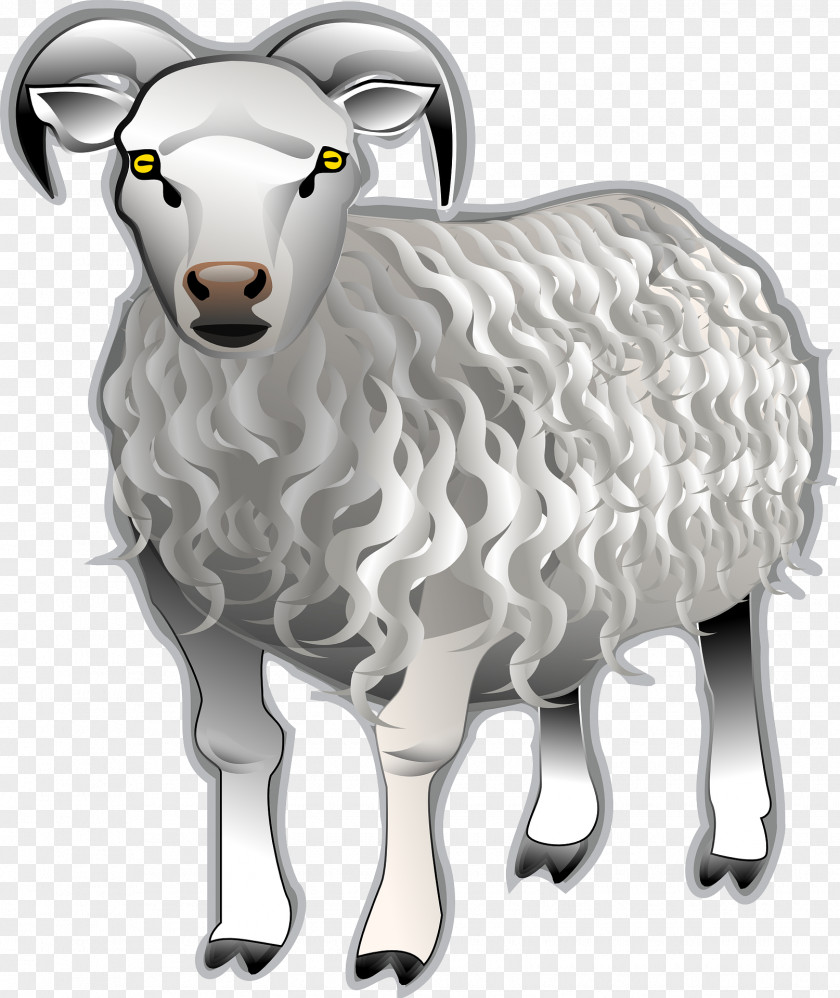 Goat Bighorn Sheep Dall Clip Art PNG