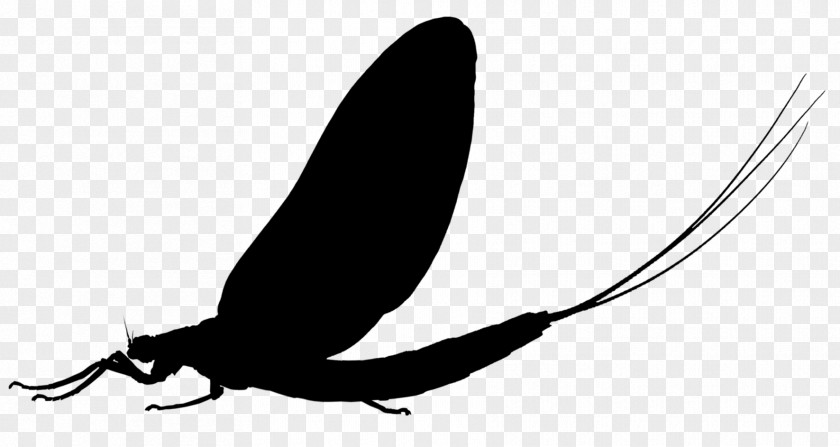 Insect Clip Art Pollinator Silhouette Pest PNG