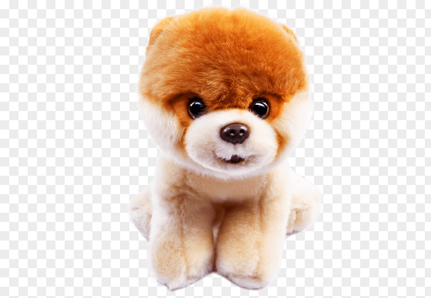 Samurai Pomeranian Stuffed Animals & Cuddly Toys German Spitz Puppy Boo PNG