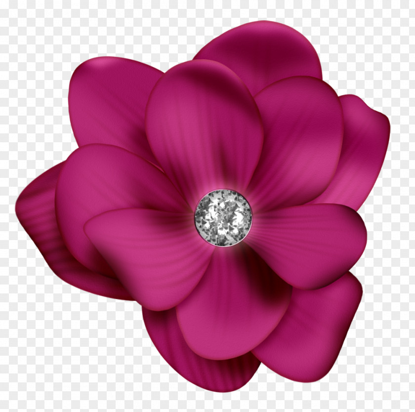 TÃ©lÃ©phone تبرج Halawethom Flower Clip Art PNG