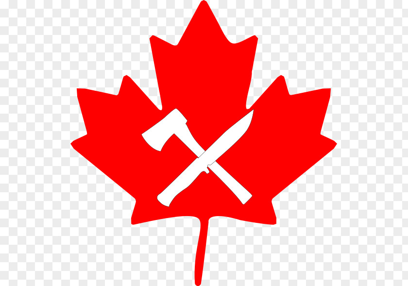 Canada Flag Of Maple Leaf Clip Art PNG