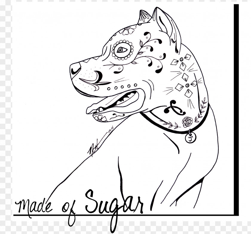 Pitbull Pit Bull Calavera Puppy Coloring Book Drawing PNG