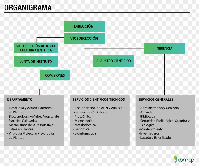 Presentacion Para Ingenieros Web Page Product Design Green Organization Multimedia PNG