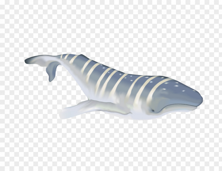 Whale Watercolor Shark Art Digital Illustration PNG