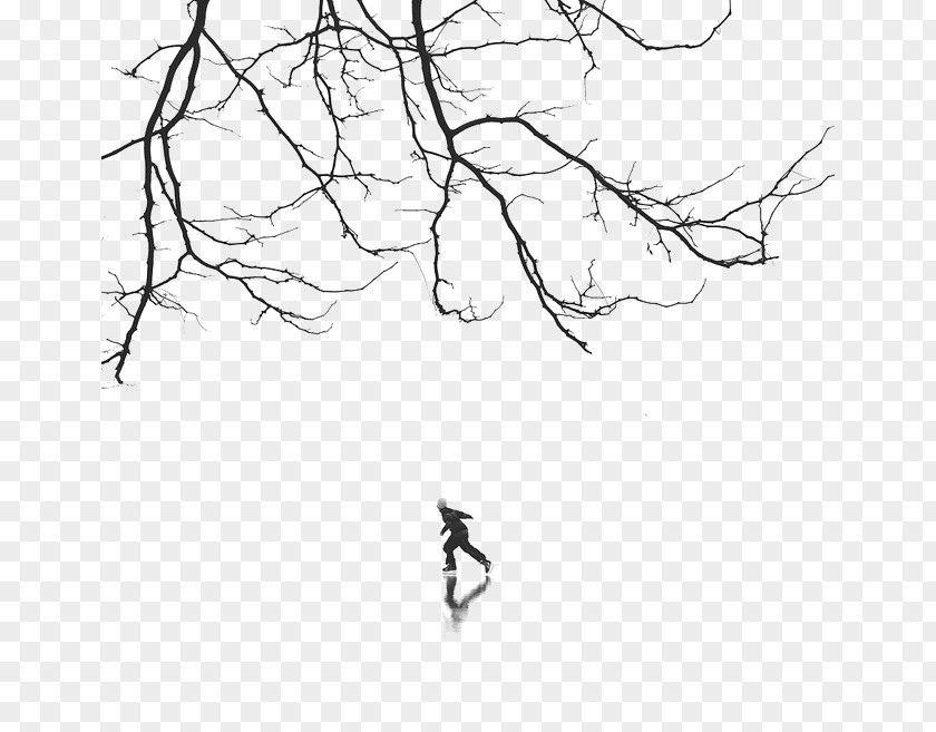 Winter Figure Skating Download Black And White PNG