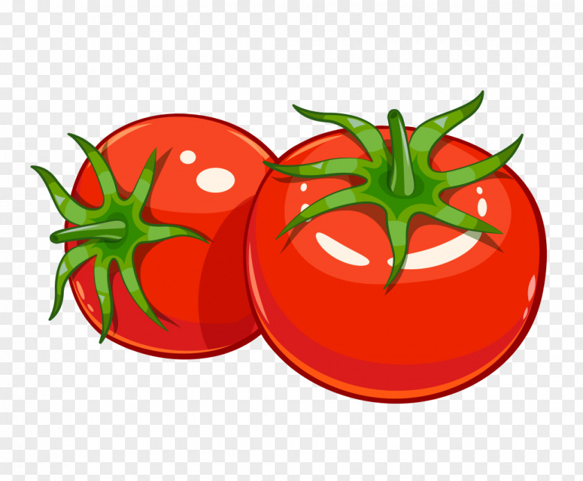 Cartoon Tomato Vector Graphics Soup Juice Pizza PNG