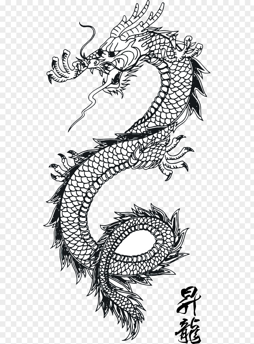 Dragon Line Art China Chinese Tattoo PNG