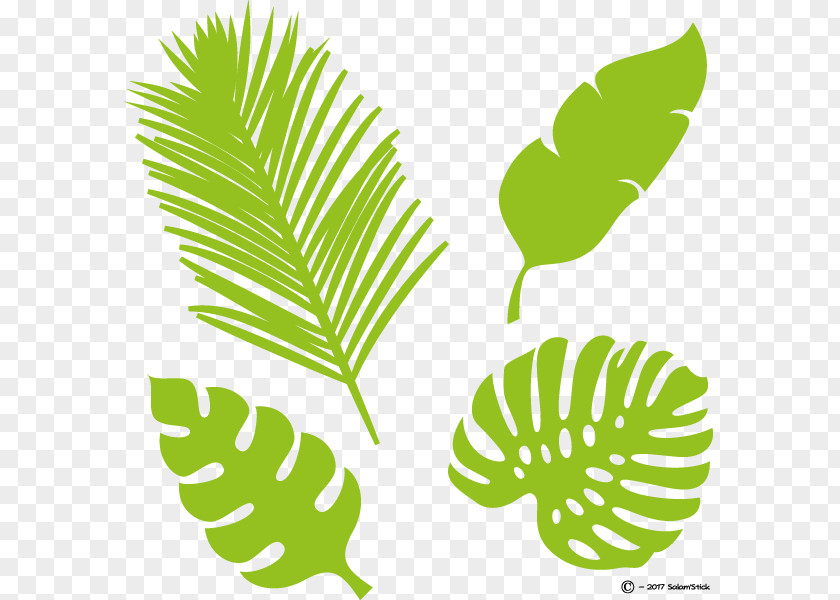 Leaf Tropics Plant Stem Xanarchy Image PNG