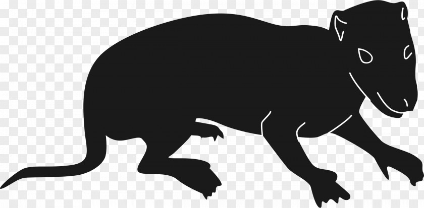 Mammals American Black Bear Brown Clip Art PNG