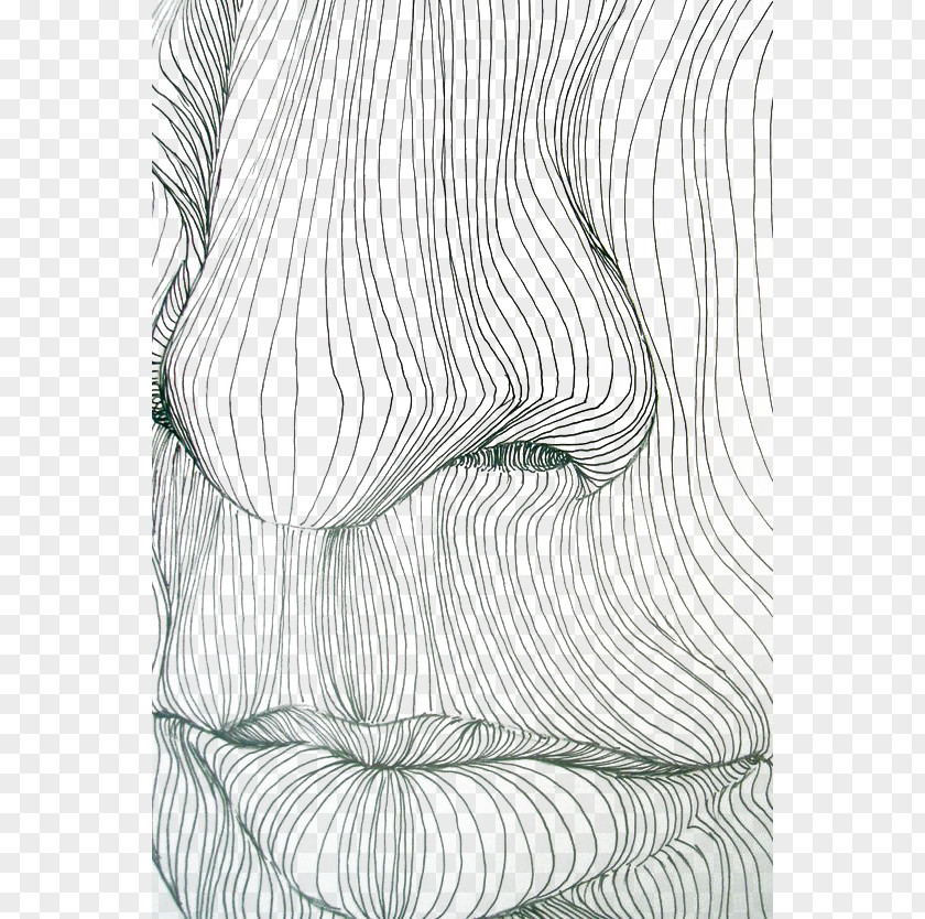 Nose And Mouth Lines Contour Drawing Line Art PNG