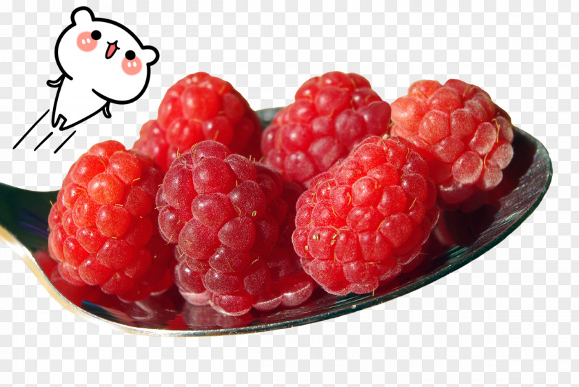 Raspberry,fruit Raspberry Ketone Fruit Sweetness PNG