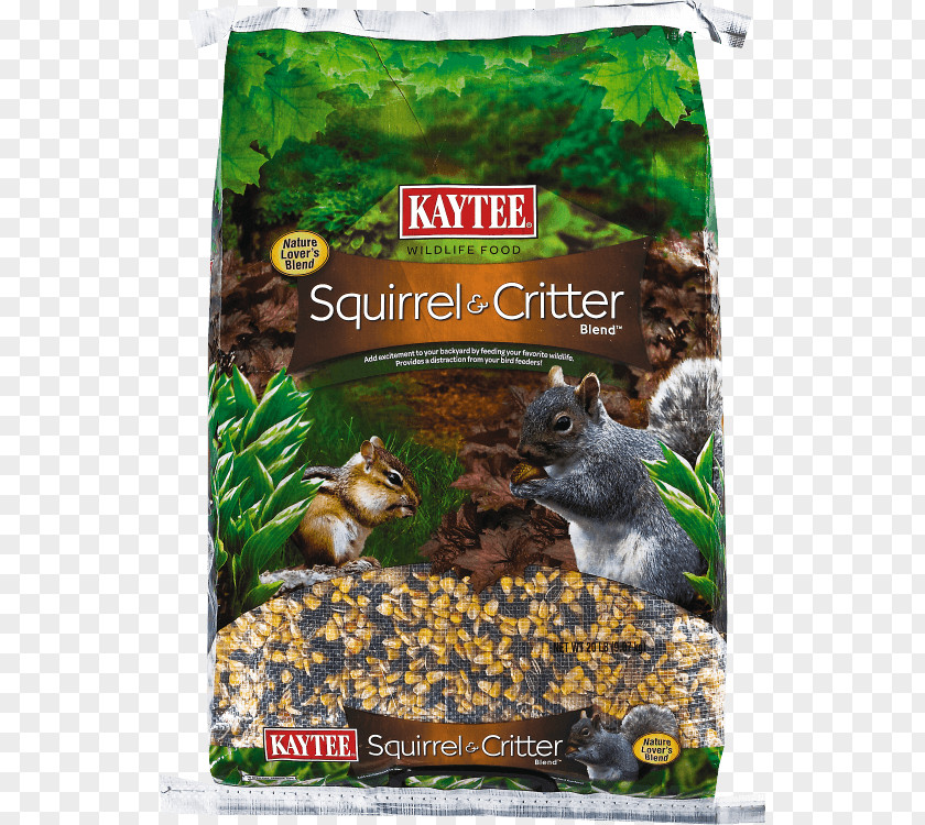 Bird Food Squirrel Kaytee Parrot PNG