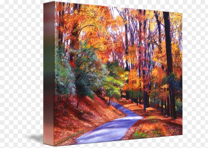 Painting Acrylic Paint Fine Art Gallery Wrap PNG