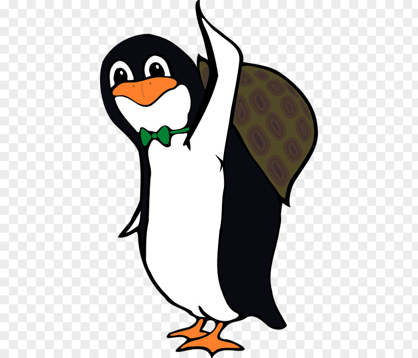 Turtle Shell Penguin Green Sea Clip Art PNG