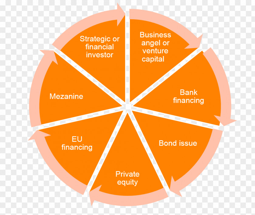 Business Leadership Sport Plan Management PNG