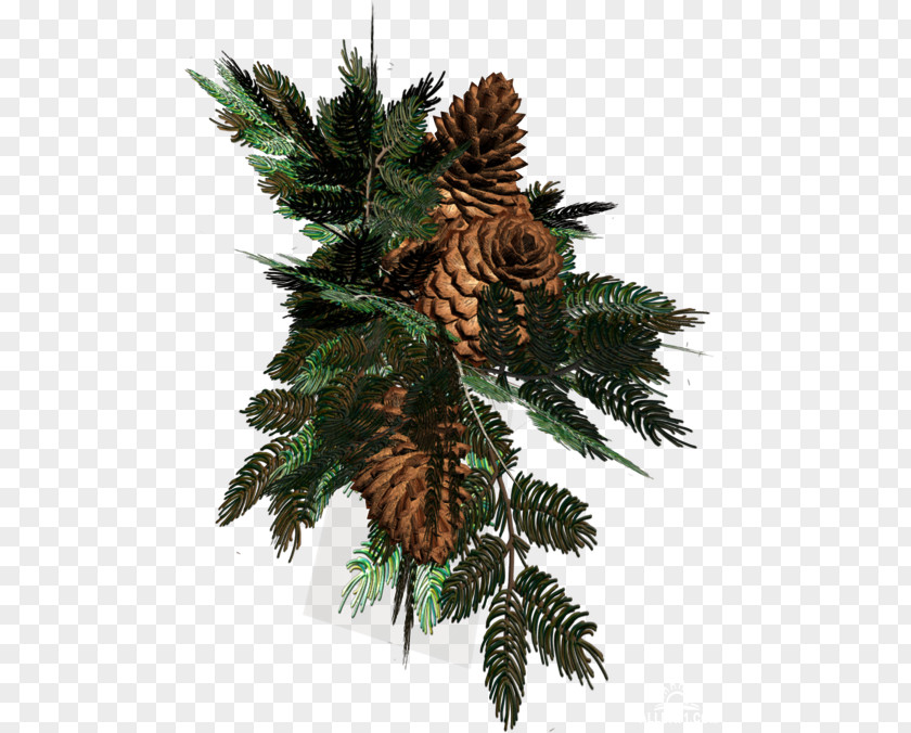 Christmas Tree Spruce Day Ornament Decoration PNG