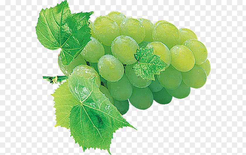 Green Grapes Grape Fruit Auglis Phobia PNG