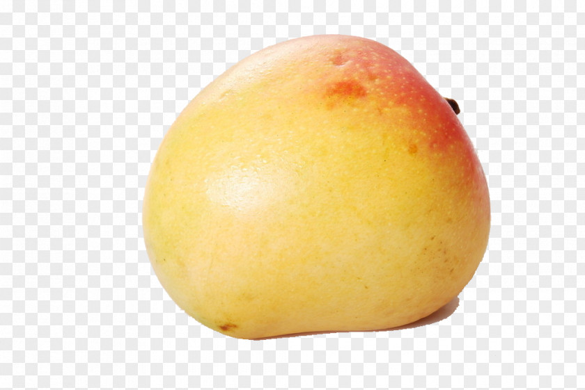 Mango Fruit Apple Icon PNG