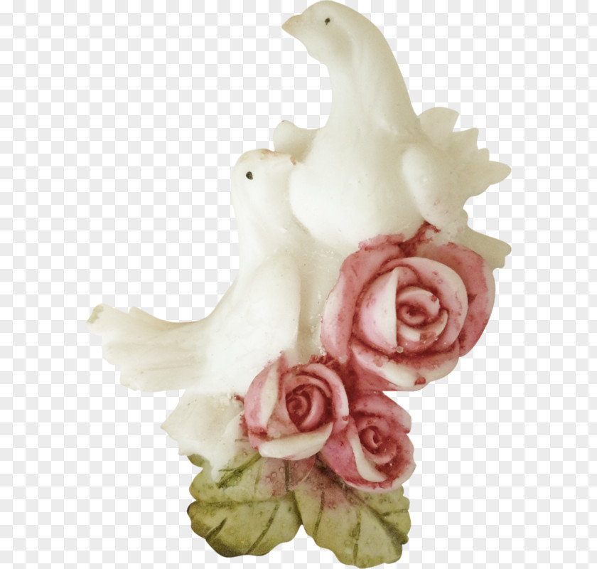 White Pigeon Pink Roses Homing Columbidae Rose Bird PNG
