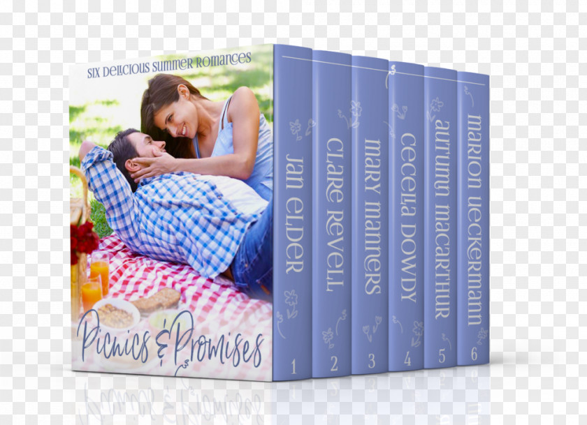 Book A Courtship For Clover Cover Romance Novel PNG