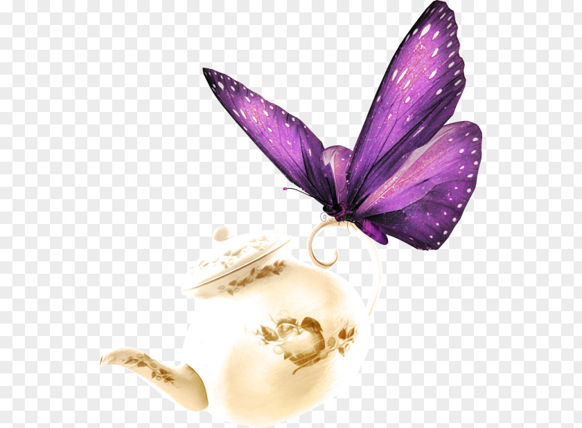 Butterfly And Teapot Color Pixel PNG