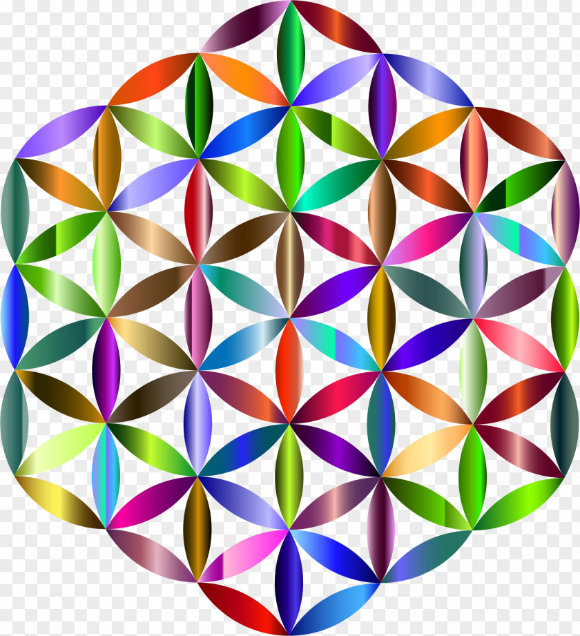 Geomentry Overlapping Circles Grid Flower Sacred Geometry Label PNG