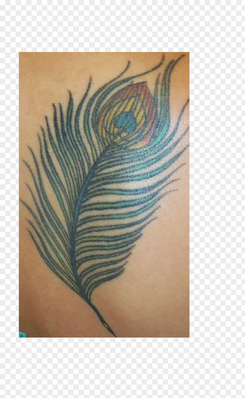Peacock Bird Feather Tattoo Peafowl Arm PNG