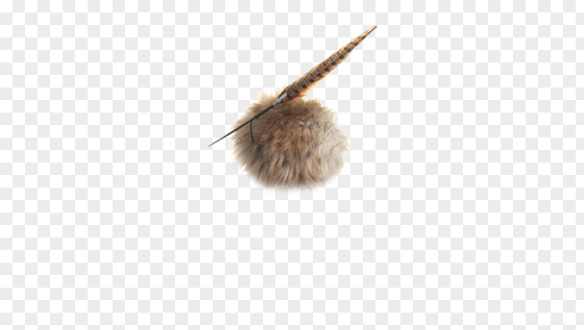 With Fur Hat Feather PNG