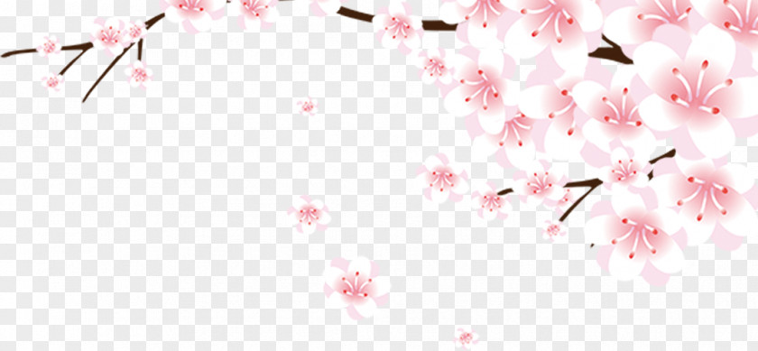 Chinese Style Fresh Peach Shining Bright Pink Decoration Cherry Blossom Download Computer File PNG