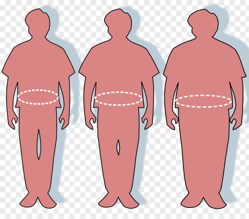 Fat Man Waist-to-height Ratio Abdominal Obesity Adipose Tissue Health PNG