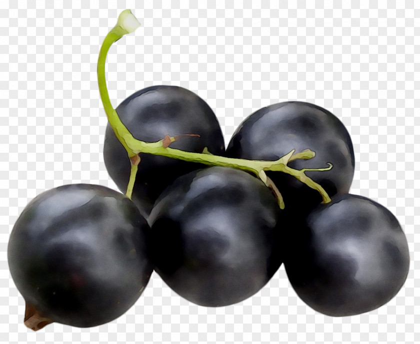 Grape Zante Currant Blueberry Bilberry Huckleberry PNG