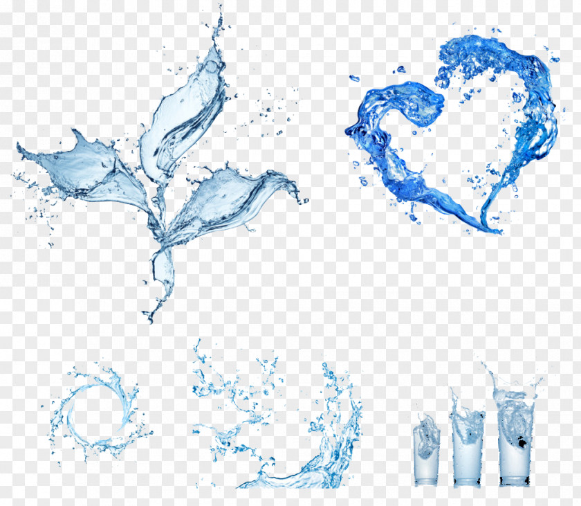 Water Ripples Clip Art PNG