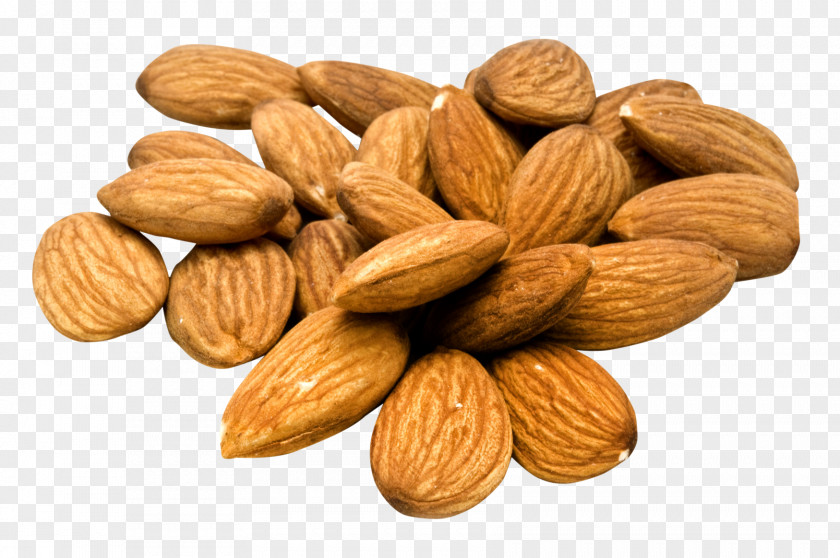 Almond Nut Apricot Kernel PNG